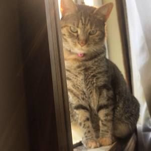 Meet your Posher, Lena